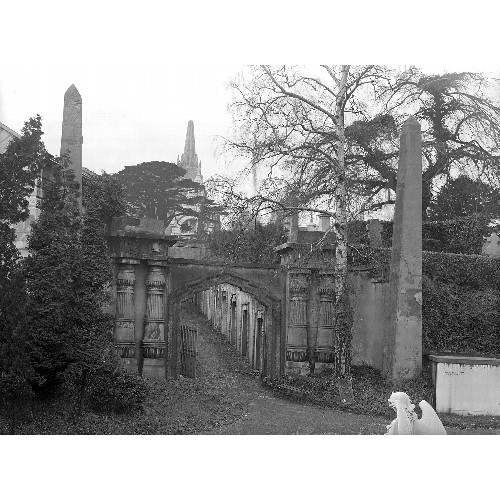 251 - Highgate Cemetery – A box containing several smaller boxes of glass negatives from the estate of the... 