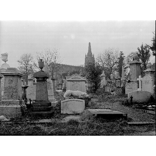 251 - Highgate Cemetery – A box containing several smaller boxes of glass negatives from the estate of the... 