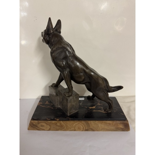 746 - A bronze model of an Alsatian dog on stand