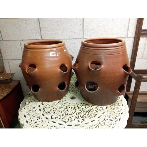 1520 - 2 large strawberry pots