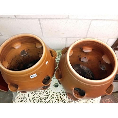 1520 - 2 large strawberry pots