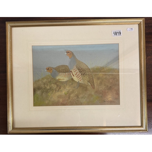 1819 - A framed and glazed Gudgeon, Ralston watercolour - Partridge study.