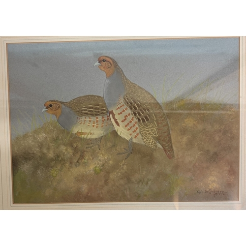 1819 - A framed and glazed Gudgeon, Ralston watercolour - Partridge study.