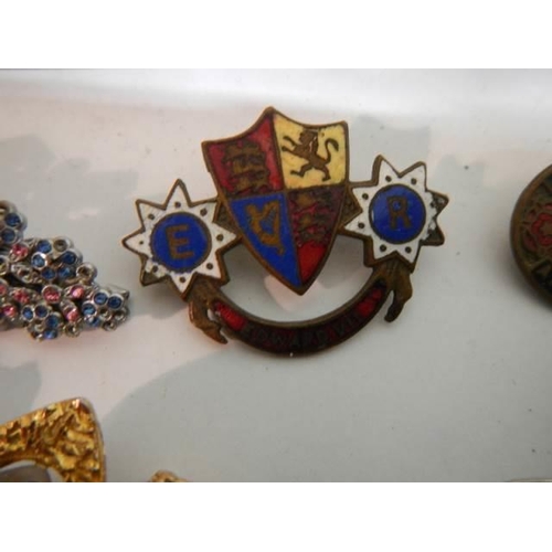 521 - In excess of thirty assorted brooches, badges etc.,