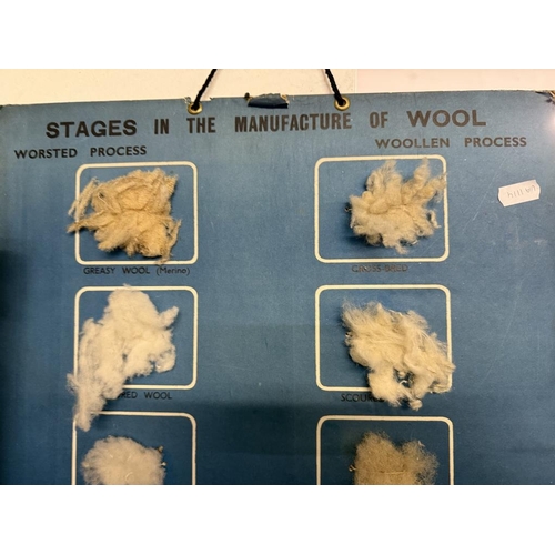 555 - A vintage stages of wool manufacture display board