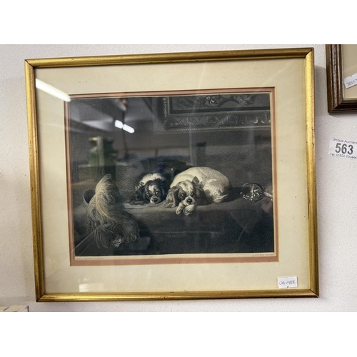 563 - An engraving of a spaniel by CG Lewis titled The Pet Of The Dutchess & 1 other