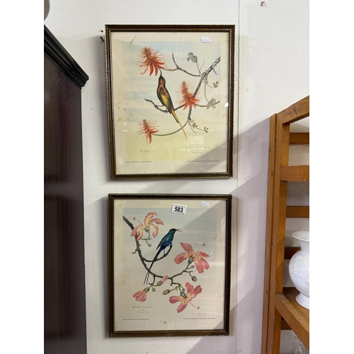 583 - 2 Vintage Kenya prints of birds and flowers