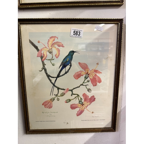 583 - 2 Vintage Kenya prints of birds and flowers