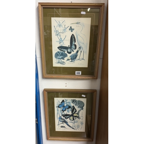 658 - A pair of educational prints of wildlife & fauna