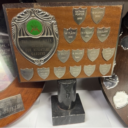 703 - 3 large flower show trophy shields