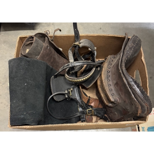 804 - A box of antique vintage horse harness & leathers