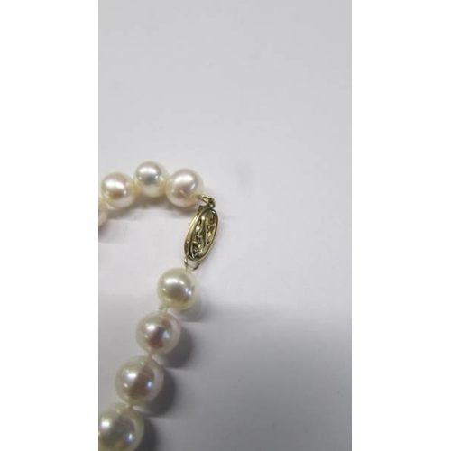 1023 - A strand of pearl with a 9ct gold clasp.