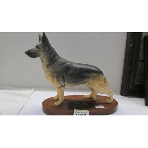 1068 - A Beswick Alsation/German Shepherd dog on wooden base.