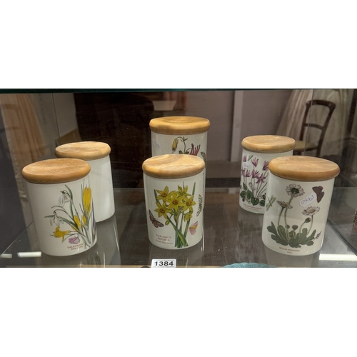 1384 - 6 Portmeirion storage jars with wooden lids