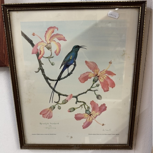 1639 - 2 Vintage Kenya prints of birds and flowers