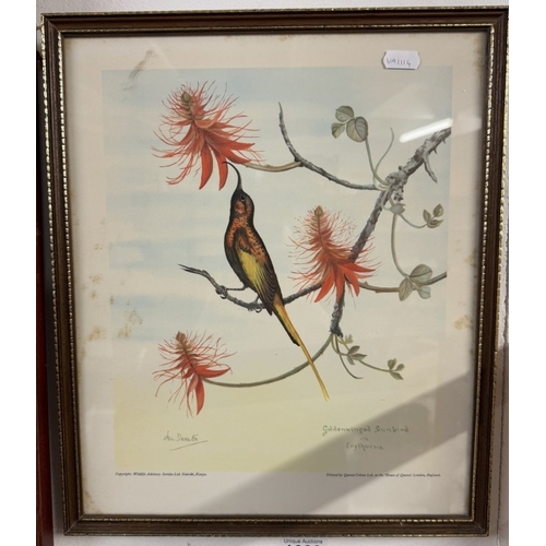 1639 - 2 Vintage Kenya prints of birds and flowers