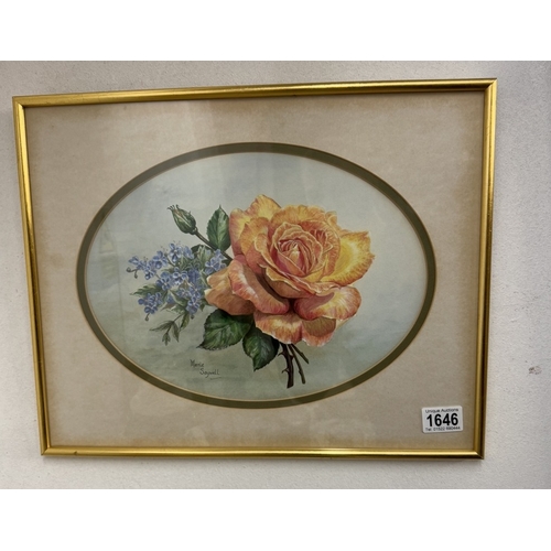 1646 - A good still life watercolour signed Marie Saywell