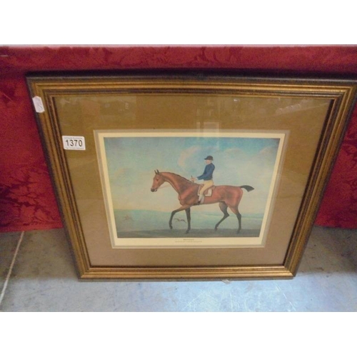 Lot 1370      