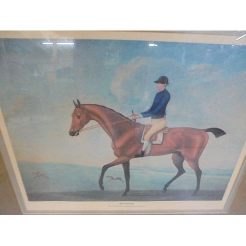 1370 - A framed and glazed print of a racehorse entitled 'Second' by James Seymour.