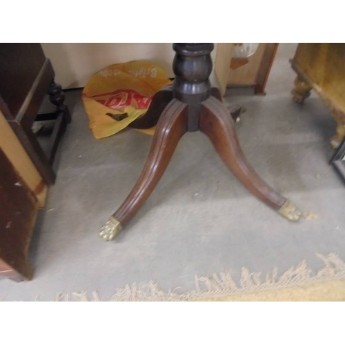 1424 - An Edwardian mahogany tip-top tea table on brass lion paw feet.