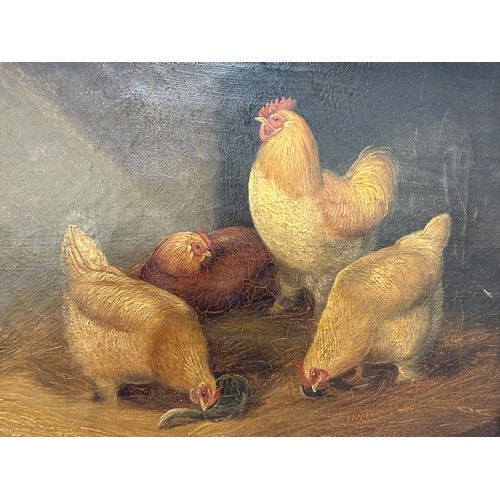 1407 - A pair of gilt framed oil on canvas paintings of poultry signed W Hanson.