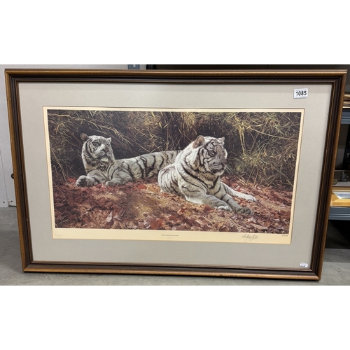 1085 - A framed & glazed Limited Edition print of a pair of tigers in a jungle scene. Titled White Tigers -... 