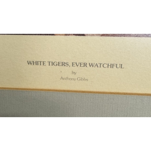 1085 - A framed & glazed Limited Edition print of a pair of tigers in a jungle scene. Titled White Tigers -... 