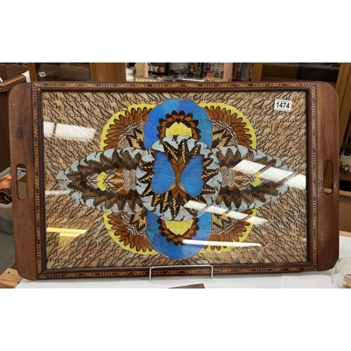 1474 - A large vintage inlaid tray decorated with lepidopteran wings. 71.5 x 43cm