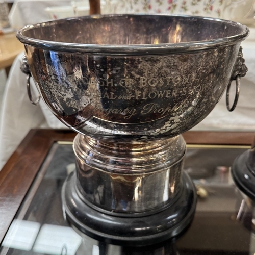 1509 - 3 Silver plated trophies