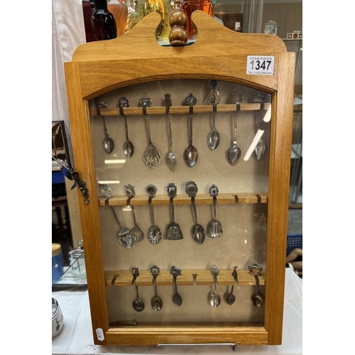 1347 - A pine display cabinet of tourist spoons including some 800 silver examples