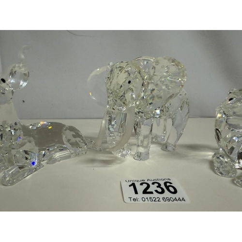 1236 - A set of 3 Swarovski Africa SCS models in boxes (Elephants ear has been glued back on)