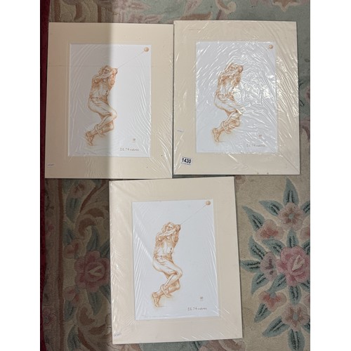 1430 - 3 limited edition Olympic? hammer throw prints by Wendy Trinder, Nos. 58/96/99 of 100