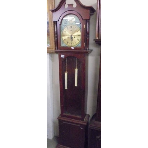 1556 - A modern Grandfather clock.