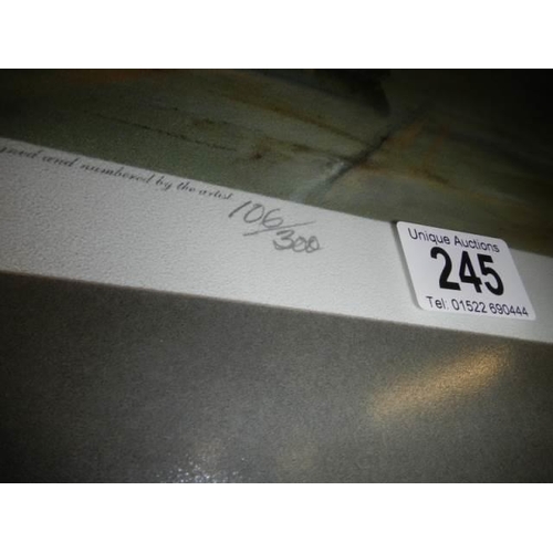 245 - A framed and glazed limited edition print entitled 'A Tribute to Women in Aviation', 106/300.