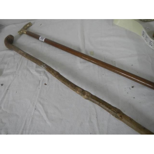 268 - A walking stick with brass handle and one other.