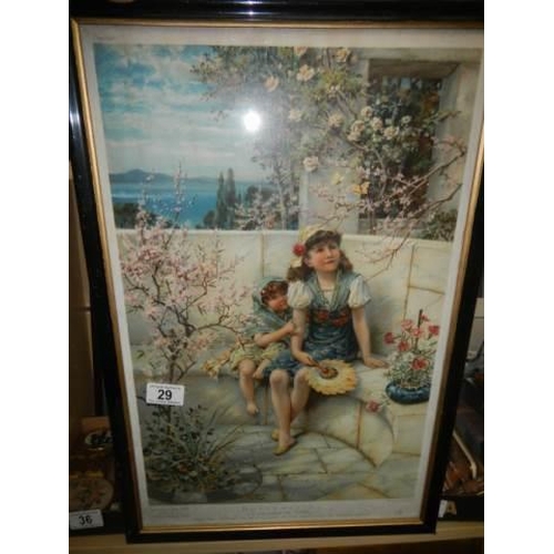 Lot 29        
