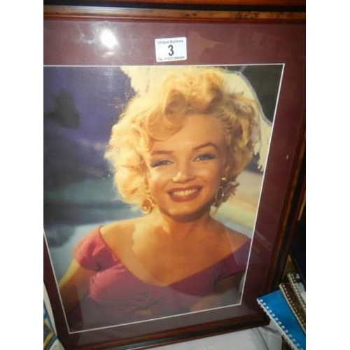 3 - A framed & glazed photo of Marilyn Monroe and 'The Last Sitting' by Bert Stein.