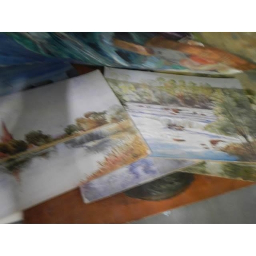 56 - A large quantity of unframed oil on board paintings.