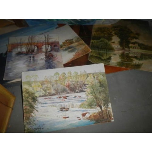 56 - A large quantity of unframed oil on board paintings.