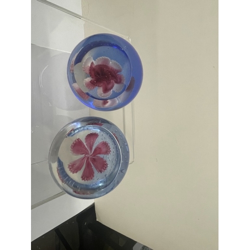411 - 8 Window paperweights