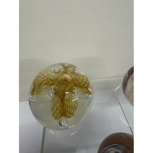 409 - 7 Caithness paperweights, all marked.