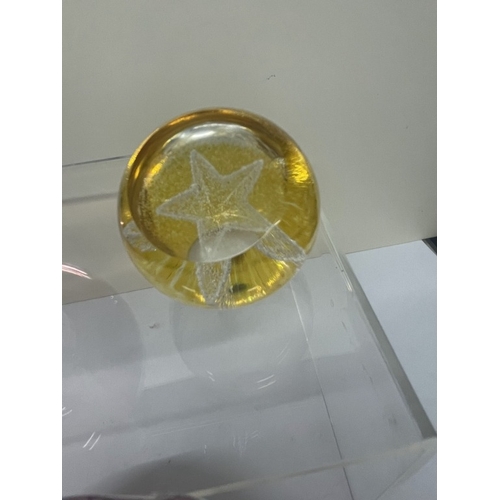 411 - 8 Window paperweights