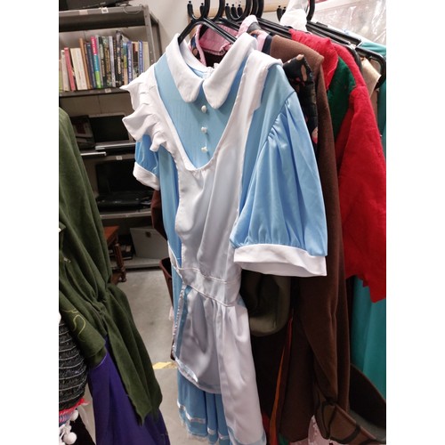 454 - A fabulous collection of fancydress