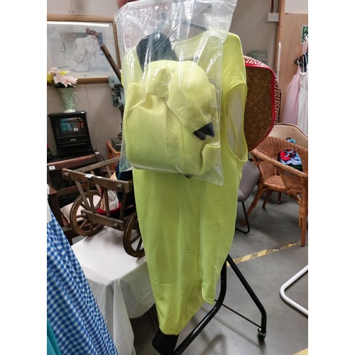 454 - A fabulous collection of fancydress