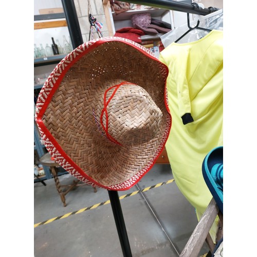 454 - A fabulous collection of fancydress