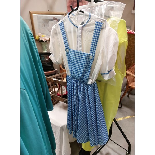 454 - A fabulous collection of fancydress