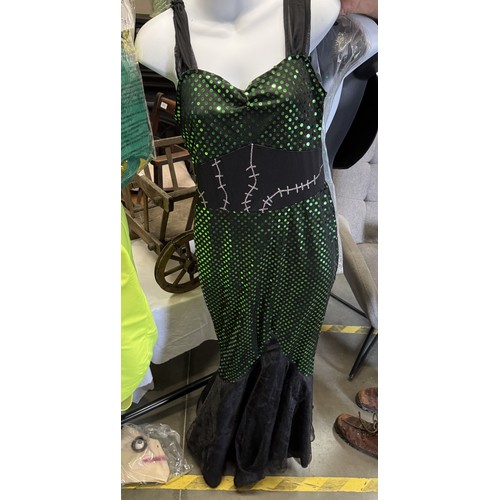 454 - A fabulous collection of fancydress