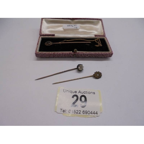 Lot 29        