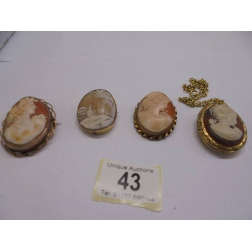 Lot 43        