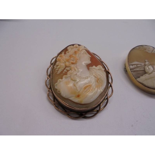 43 - Three cameo brooches and a cameo pendant.